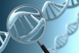DNA甲基化检测8折优惠（BSP，MSP等）