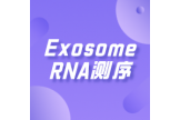 Exosome RNA测序
