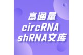 高通量circRNA shRNA文库