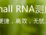 一站式解决sRNA调控研究