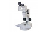  尼康体视显微镜SMZ800N