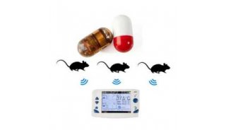 大鼠体温无线遥测，小鼠体温无线测量仪