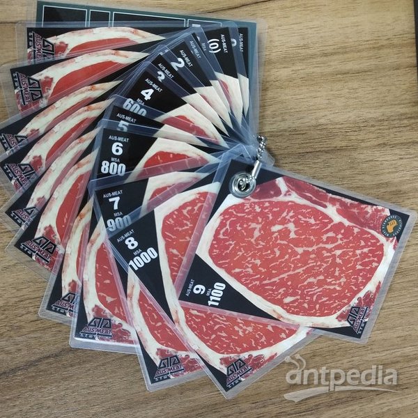 AUS-MEAT牛肉评分比色卡