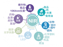 光谱仪在农业中检测作物叶片的应用