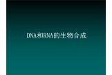 RNA合成技术支持服务