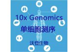单细胞测序服务(10x Genomics )