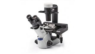 常规倒置型显微镜