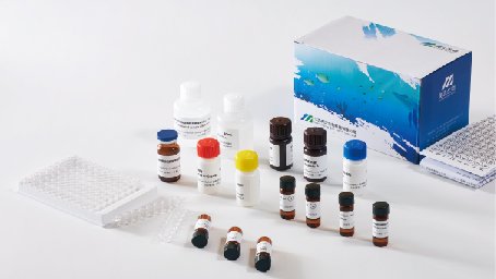 美正硝基咪唑类(NMs)ELISA检测试剂盒 适用动物组织、鸡蛋