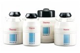 上海纳全手动填充液氮（样品储存）BioCane™ 系列