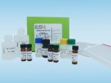磺胺类检测试剂盒 5001
