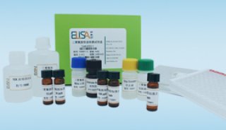 呋喃西林代谢物检测试剂盒 5018
