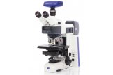 蔡司（ZEISS）显微镜  ꄲ  倒置显微镜Axio Vert.A1