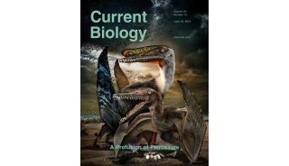 为什么说《Current Biology》不是什么正经杂志？3&nbsp;