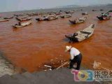 海域污染